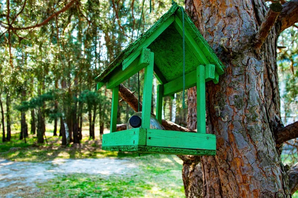 Alimentatore di uccelli in legno su un albero nella foresta. — Foto Stock