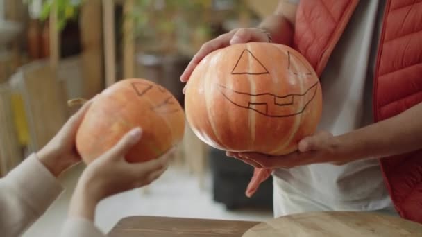 Amigos estão comparando suas abóboras de Halloween — Vídeo de Stock