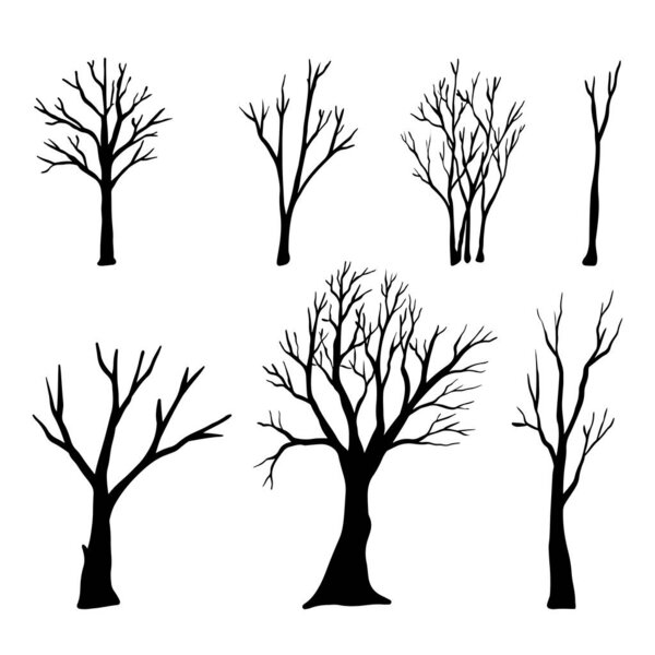 set of hand drawn vector doodle Naked trees silhouettes sketch illustrations. vector illustration.