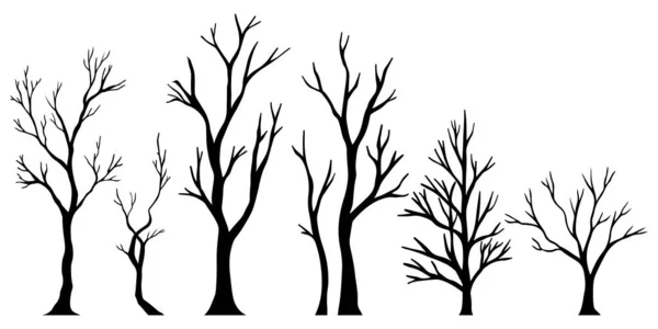 Set Hand Drawn Vector Doodle Naked Trees Silhouettes Sketch Illustrations — Stock Vector