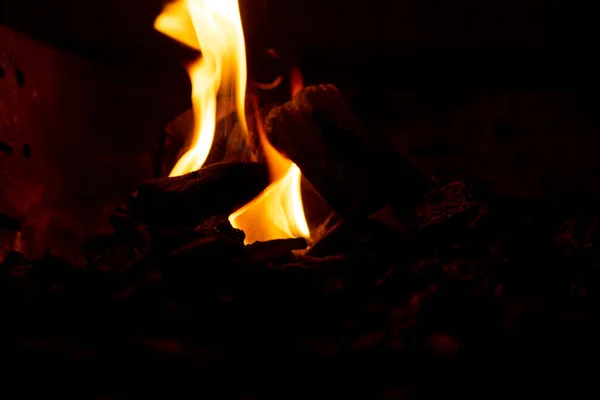 Krásná formace ohně vytvořená spálením několika suchých rákosí tvořících velkolepé a jasné plameny ve tmě noci. Koncept krásy a destrukce. — Stock fotografie