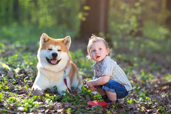 Niño y perro Imagen De Stock