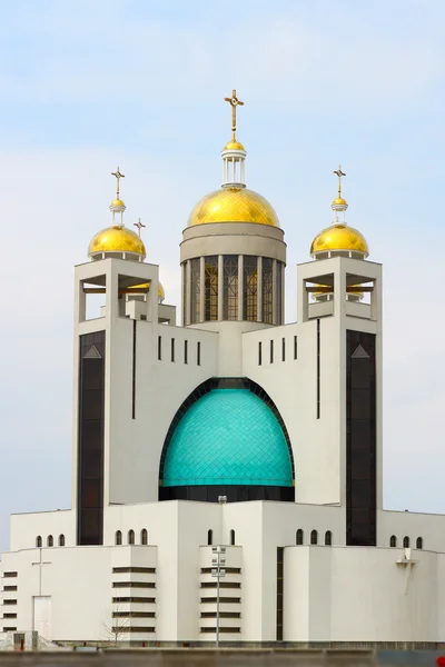Cathedral of the Resurrection of Christ Kiev — Stock Photo, Image