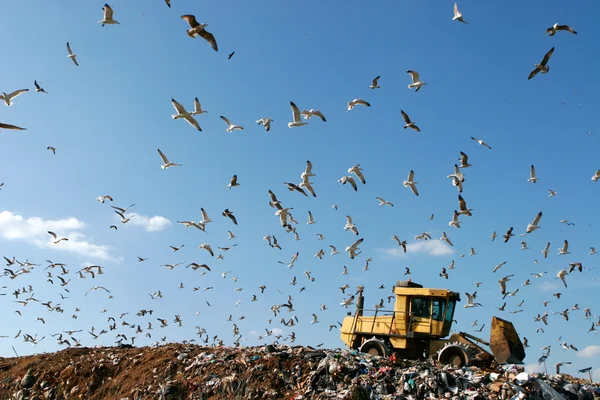 Landfill Working — Stock Photo, Image
