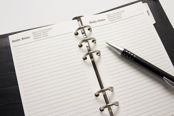 business agenda goals