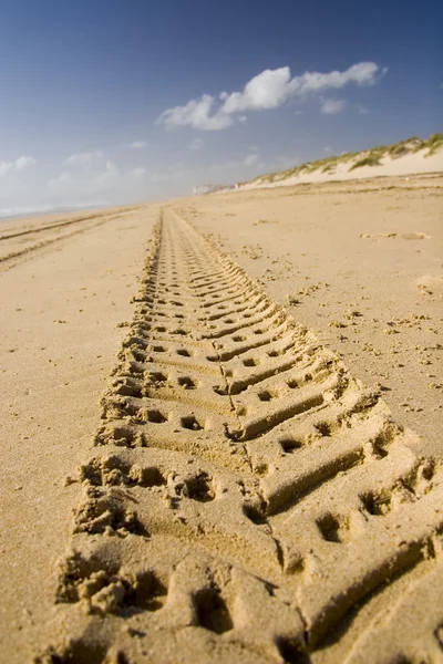 Road to adventure