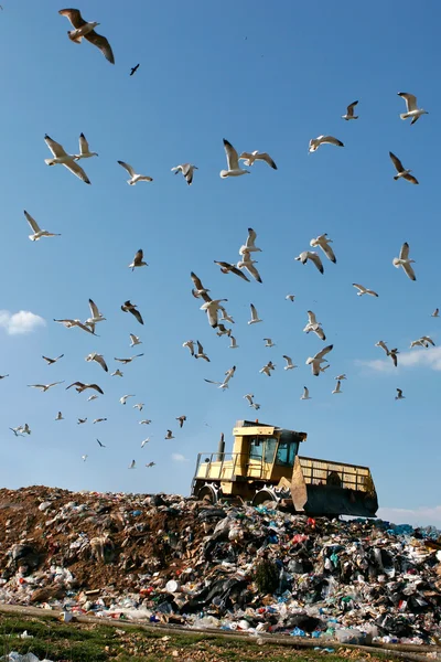 Landfill Working — Stock Photo, Image