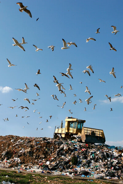 Landfill Working