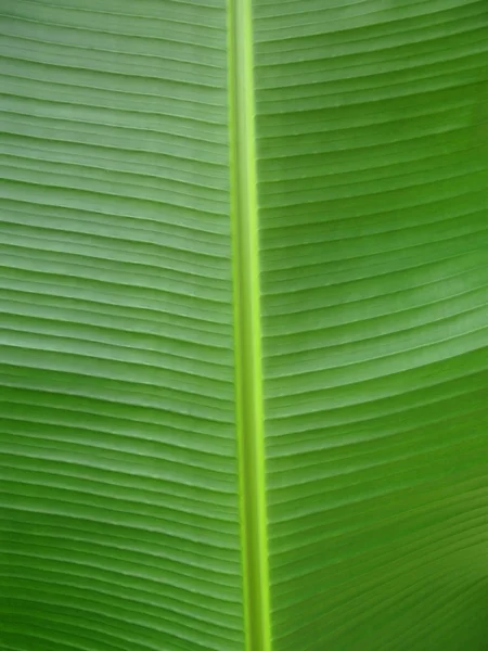 Entspannungsgarten — Stockfoto