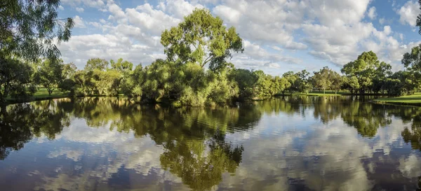 Humedales de río enlatados —  Fotos de Stock