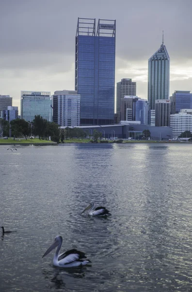 View of Perth in Western Australia — Stock Photo, Image