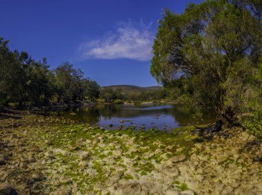 walyunga Milli Parkı Batı Avustralya