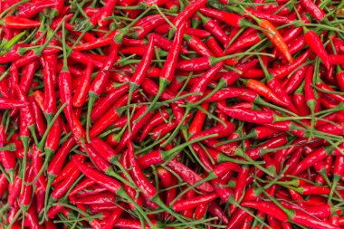 A pile of red chilli peppers