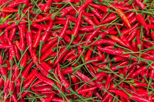 En hög med röd chili peppers — Stockfoto