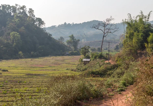 Paesaggio con campi e capanna in Laos — Foto Stock