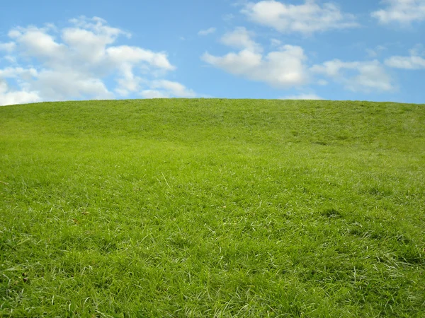 Met gras begroeide heuvel in het voorjaar van — Stockfoto
