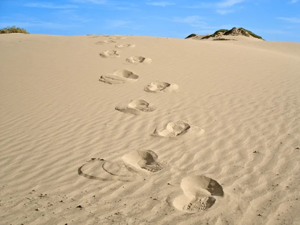 Pegadas no deserto — Fotografia de Stock