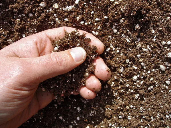 Hand in Soil — Stock Photo, Image