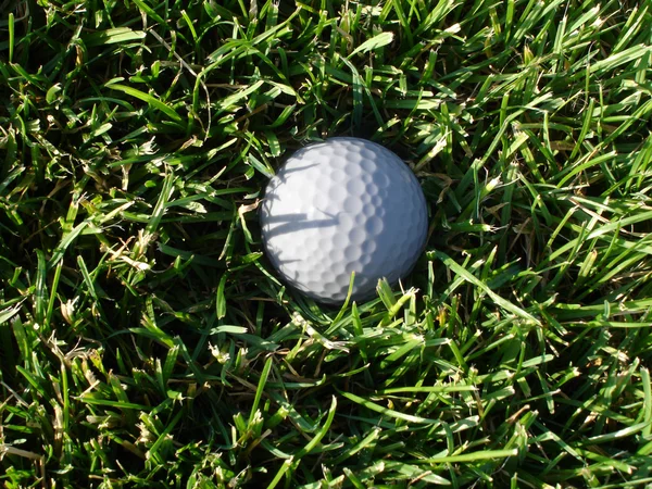 Golflabda fűben — Stock Fotó