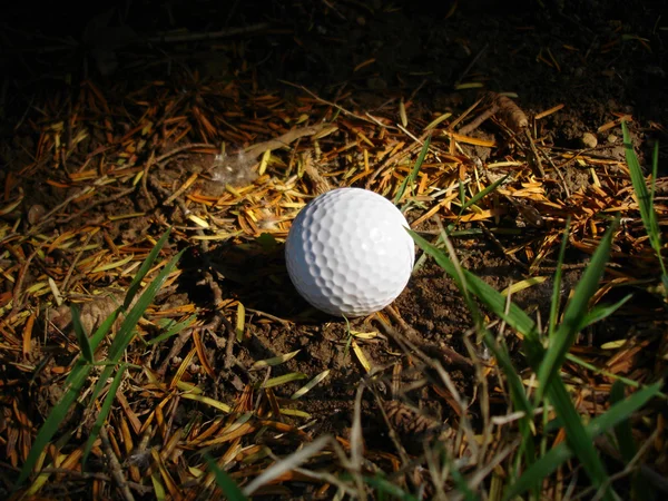Golf labda a durva — Stock Fotó
