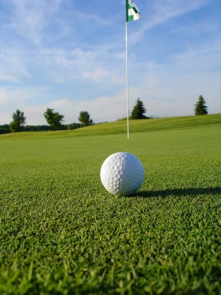 Bola de golfe em verde — Fotografia de Stock