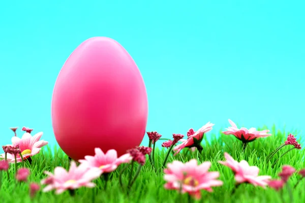 Pink easter egg on meadow with flowers & cyan background — Stock Photo, Image