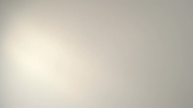 Şeffaf bir yüzeye saçılmış bir avuç kahve çekirdeği..