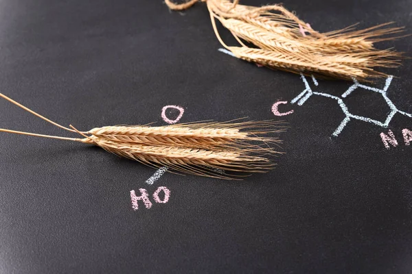 Ears Wheat Background Chemical Formula — Foto Stock