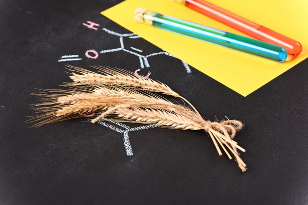 Ears Wheat Background Chemical Formula — Foto Stock