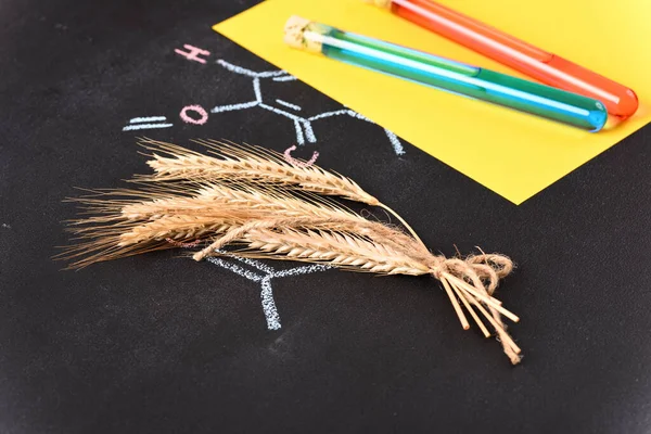 Ears Wheat Background Chemical Formula — kuvapankkivalokuva