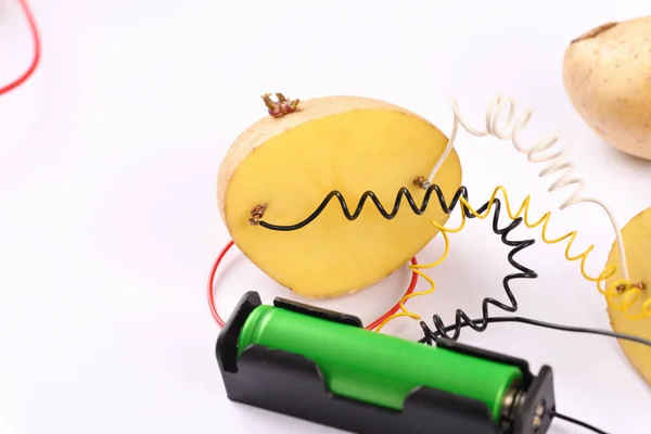 Kartoffelbatterie Auf Weißem Hintergrund Alternative Grüne Energie Aus Kartoffeln — Stockfoto