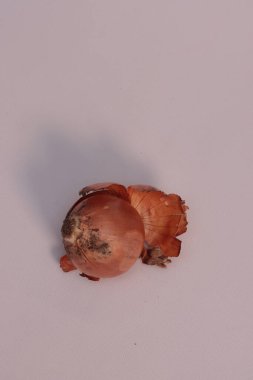 Onion close-up on white background