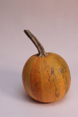 Balkabağı beyaz arka plan üzerinde kapat