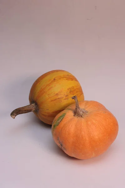 Zucca Primo Piano Sfondo Bianco — Foto Stock