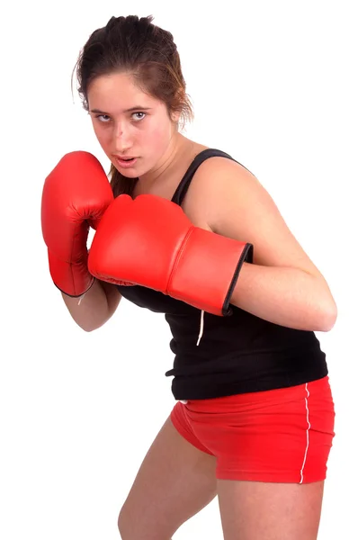 Boxer — Stock Photo, Image