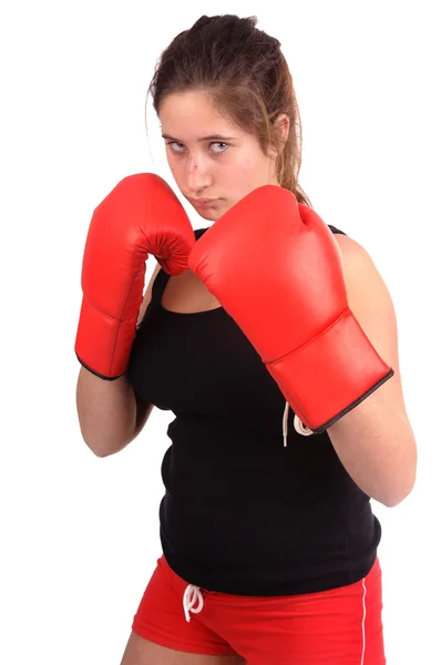 Boxer — Stock Photo, Image