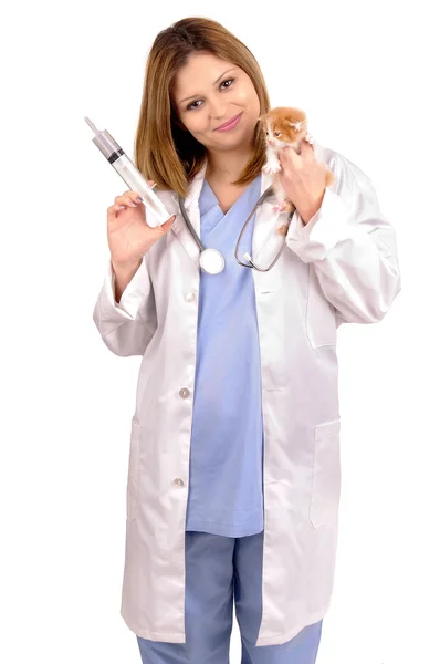 Veterinario — Foto Stock