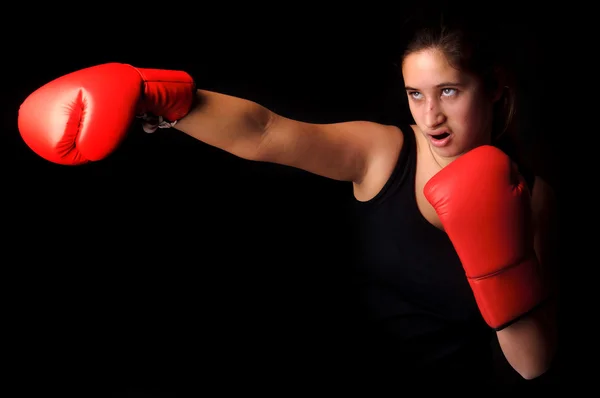 Boxer. — Fotografia de Stock