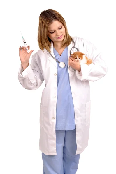 Veterinario — Foto de Stock