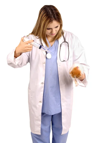 Veterinario — Foto Stock