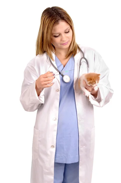 Veterinarian — Stock Photo, Image