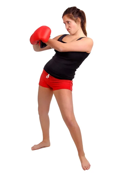 Boxer — Stock Photo, Image