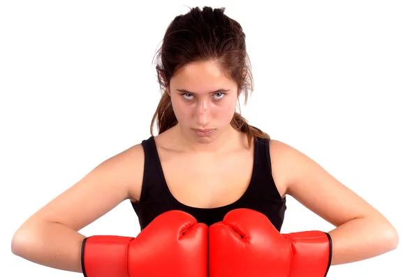 Boxer — Stock Photo, Image