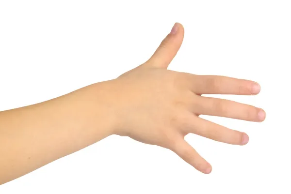 El.