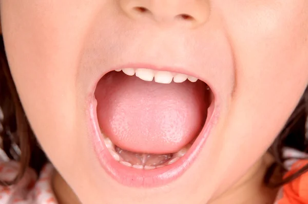 Зубы — стоковое фото