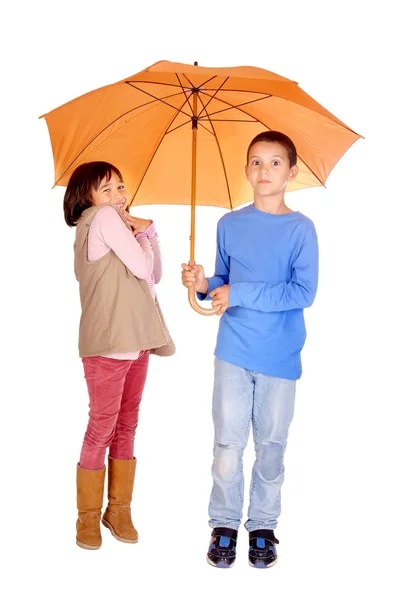 Regenschirm — Stockfoto