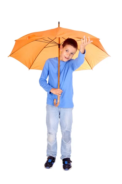 Umbrella — Stock Photo, Image