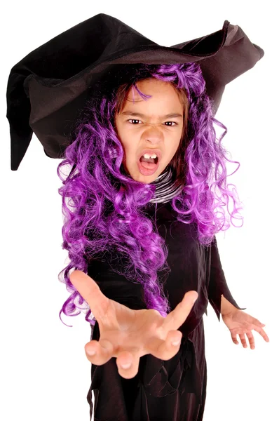 Halloween. — Fotografia de Stock