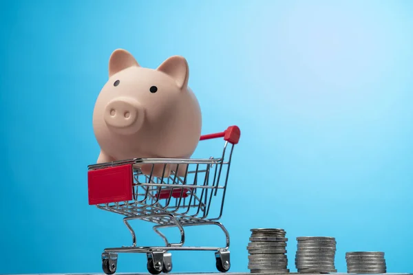 Bozuk Para Kumbaralı Alışveriş Arabası Yatırım Işi Satışı Satın Alma — Stok fotoğraf