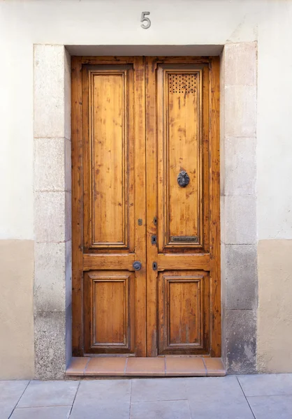 Doble puerta de madera con llamador y ranura de correo —  Fotos de Stock